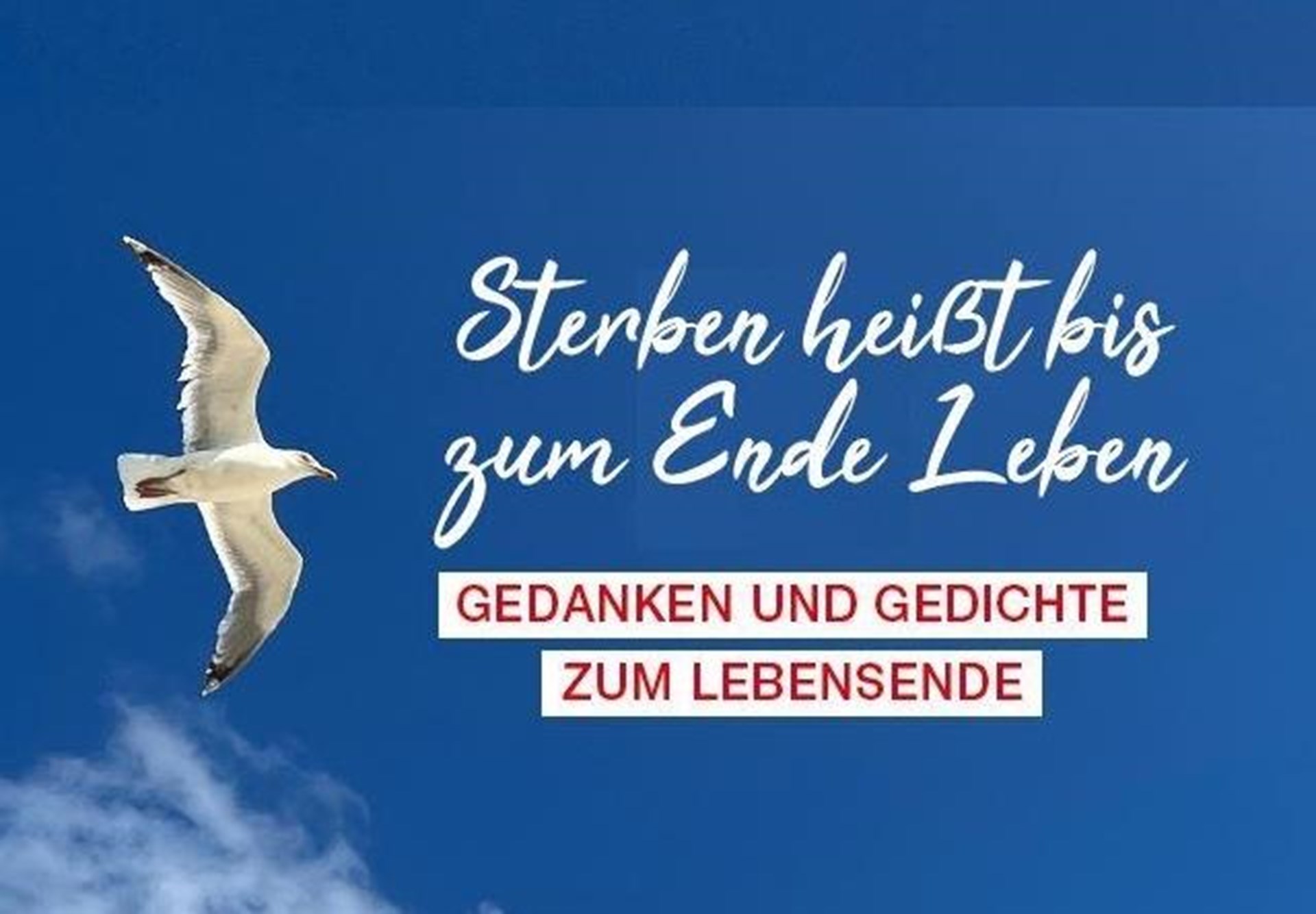 Buchcover vom Buch "Sterben heißt bis zum Ende leben" mit blauem Himmel und Möwe