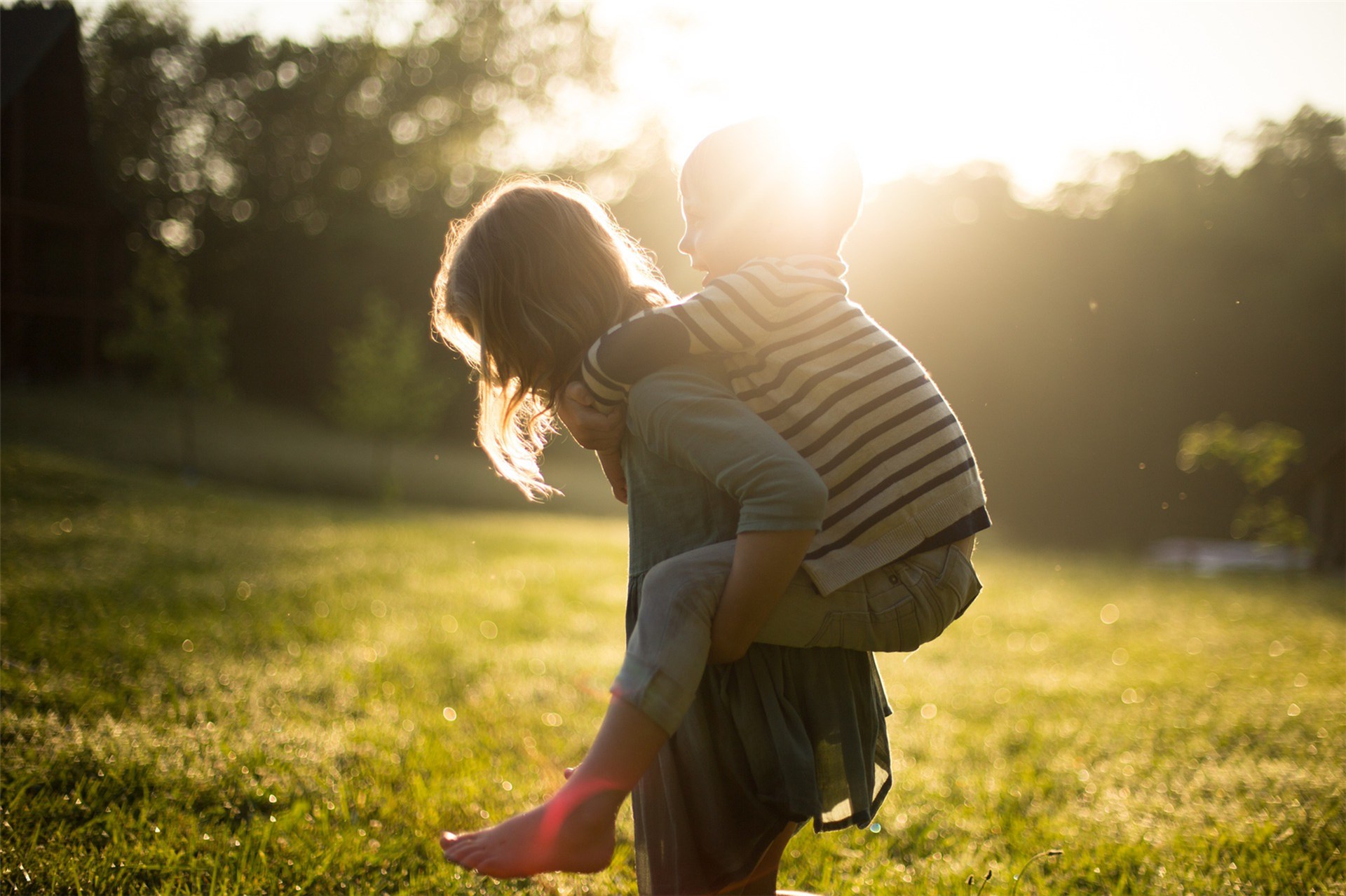 GemeinschaftsStiftung